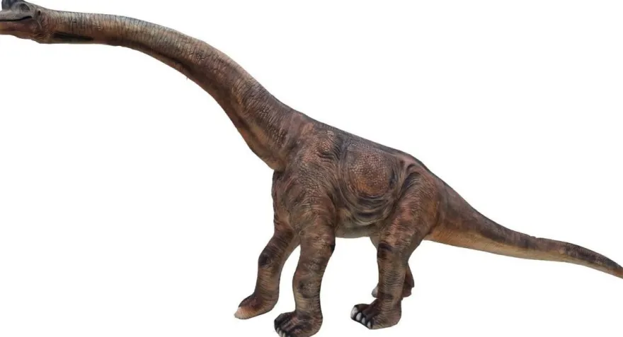 Casa Padrino Luxus Deko Skulptur Dinosaurier Brachiosaurus Braun 500 x 100 x H. 260 cm - Riesige Gartenskulptur - Lebensgroße Skulptur - XXL Deko Skulptur - XXL Deko Figur - XXL Dinosaurier