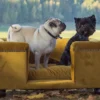 Casa Padrino Luxus Hundebett Ocker / Dunkelbraun / Ocker 95 x 75 x H. 37 cm - Modernes Rechteckiges Hundebett mit Kissen - Luxus Hundemöbel - Luxus Tiermöbel