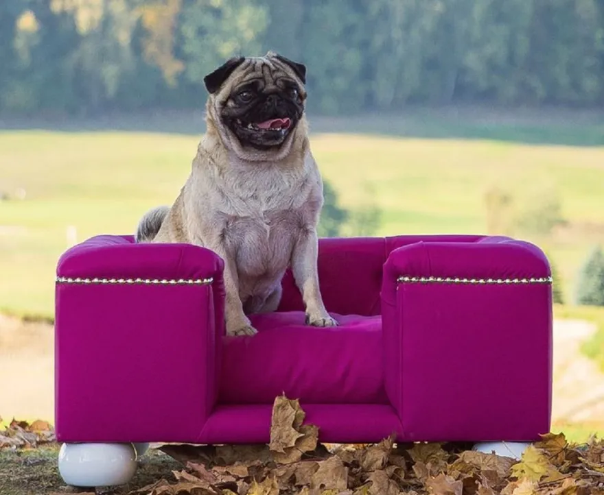 Casa Padrino Luxus Hundebett Lila / Weiß / Lila 65 x 55 x H. 31 cm - Modernes Rechteckiges Hundebett mit Kissen - Luxus Hundemöbel - Luxus Tiermöbel