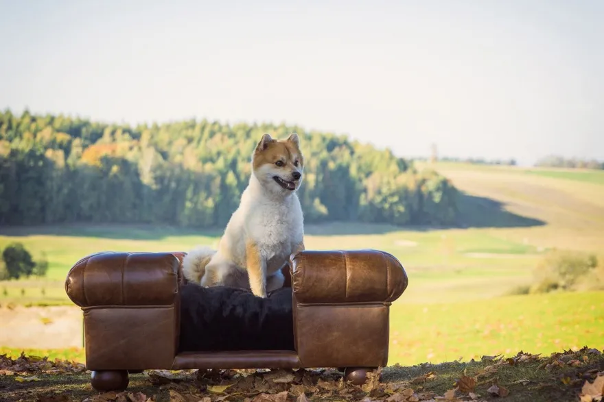 Casa Padrino Luxus Leder Hundebett Dunkelbraun / Schwarz 109 x 89 x H. 37 cm - Rechteckiges Echtleder Hundebett - Luxus Echtleder Tiermöbel