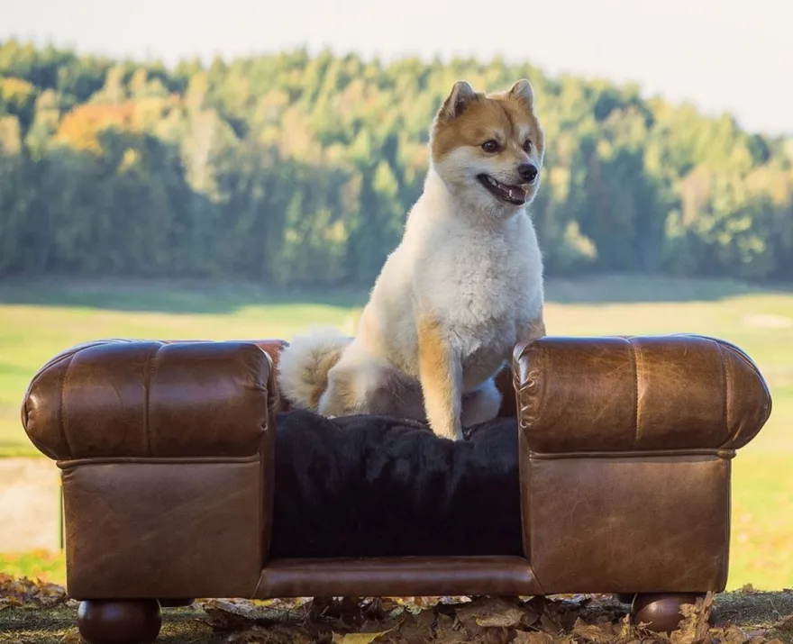Casa Padrino Luxus Leder Hundebett Dunkelbraun / Schwarz 109 x 89 x H. 37 cm - Rechteckiges Echtleder Hundebett - Luxus Echtleder Tiermöbel