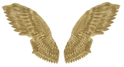 Casa Padrino Luxus Metall Wanddeko Flügel Set Gold 146 cm - Deko Accessoires