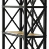 Casa Padrino Luxus Regalschrank im Barockstil Schwarz / Naturfarben 85 x 35 x H. 220 cm