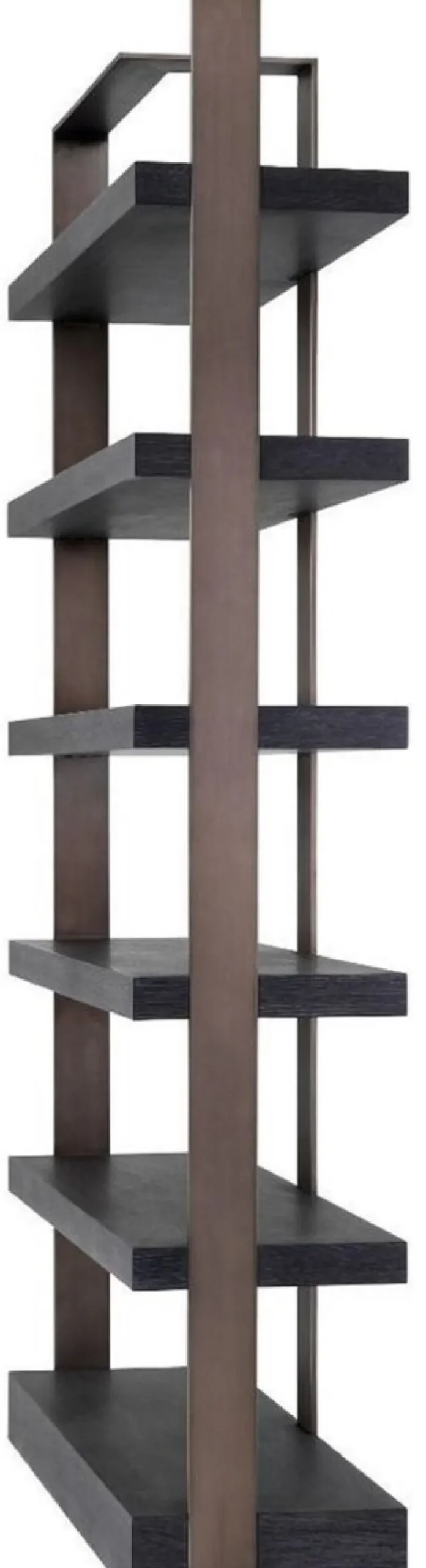 Casa Padrino Luxus Regalschrank Schwarz / Bronze 120,5 x 40 x H. 230 cm - Eichenfurnier Schrank mit Edelstahlrahmen - Bücherschrank - Luxus Wohnzimmer Möbel