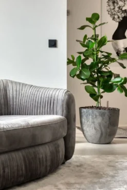 Casa Padrino Luxus Samt Couch Grau 250 x 101 x H. 74 cm - Elegantes Wohnzimmer Sofa - Luxus Möbel