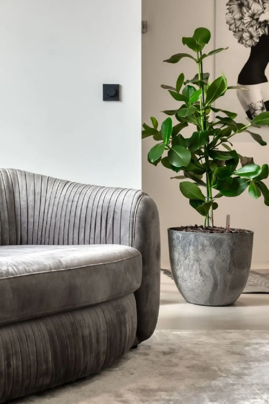 Casa Padrino Luxus Samt Couch Grau 250 x 101 x H. 74 cm - Elegantes Wohnzimmer Sofa - Luxus Möbel