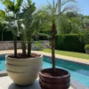 Casa Padrino Luxus XXL Garten Deko Beton Blumentopf Gelb Ø 120 x H. 90 cm